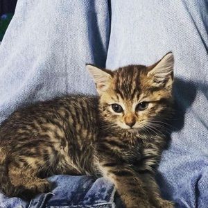 Meet your Posher, Madison